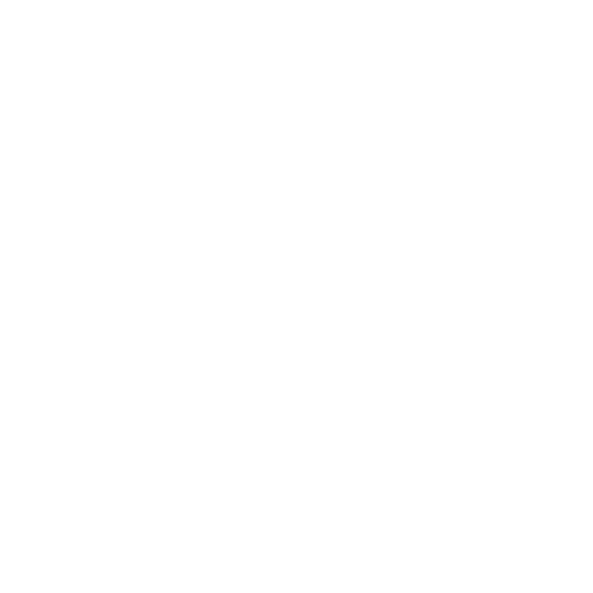 NMIS 9 icon